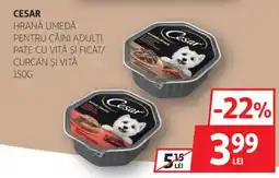 Auchan CESAR Hrană umedă pentru câini adulţi pate cu vită şi ficat/ curcan şi vită Ofertă
