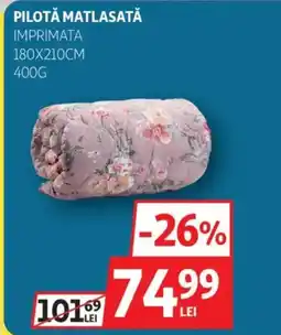Auchan Pilotă matlasată imprimata Ofertă