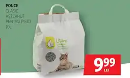 Auchan Pouce clasic aşternut pentru pisici Ofertă