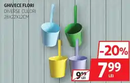 Auchan Ghivece flori Ofertă