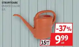 Auchan Stropitoare Ofertă