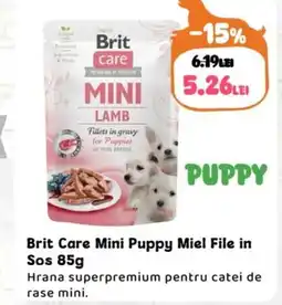 Animax Brit Care Mini Puppy Miel File in Sos Ofertă
