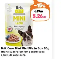 Animax Brit Care Mini Miel File in Sos Ofertă