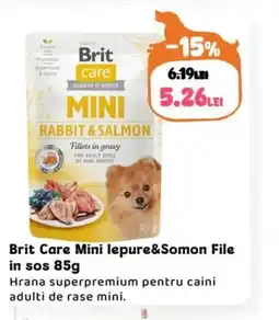 Animax Brit Care Mini lepure&Somon File in sos Ofertă