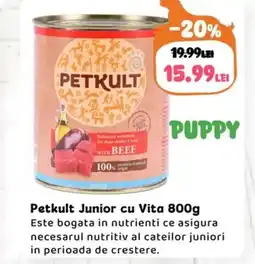 Animax Petkult Junior cu Vita Ofertă