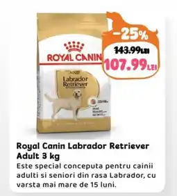 Animax Royal Canin Labrador Retriever Adult Ofertă