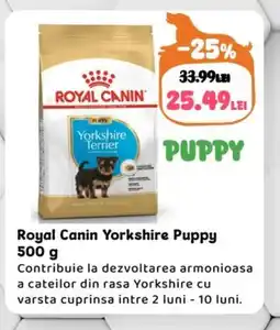 Animax Royal Canin Yorkshire Puppy Ofertă