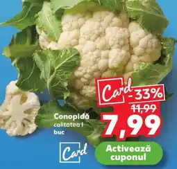 Kaufland Conopidă Ofertă