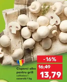 Kaufland Ciuperci albe pentru grill Ofertă