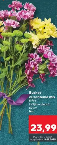 Kaufland Buchet crizanteme mix Ofertă