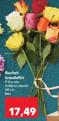 Kaufland Buchet trandafiri Ofertă