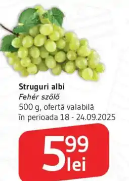 Supeco Struguri albi Ofertă