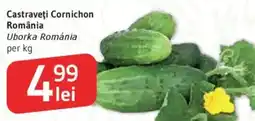 Supeco Castraveţi Cornichon România Ofertă