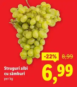 Lidl Struguri albi cu sâmburi Ofertă