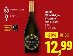 Lidl Allini Pinot Grigio Frizzante Vin petiant Ofertă
