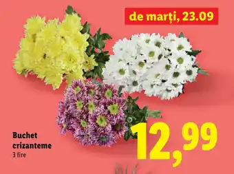 Lidl Buchet crizanteme Ofertă