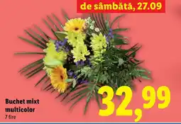 Lidl Buchet mixt multicolor Ofertă