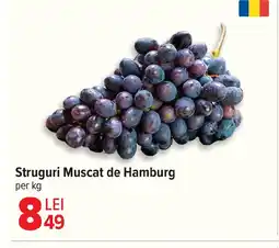 Carrefour Struguri Muscat de Hamburg Ofertă