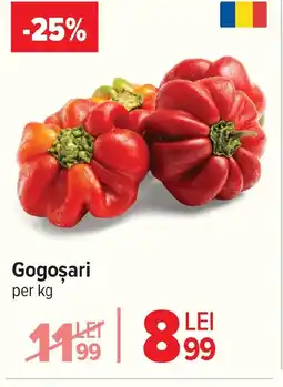 Carrefour Gogosari Ofertă