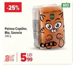 Carrefour Painea Copiilor, Bio, Savoria Ofertă