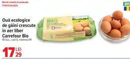 Carrefour Ouă ecologice de găini crescute în aer liber Carrefour Bio Ofertă