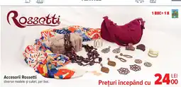 Carrefour Accesorii Rossetti Ofertă