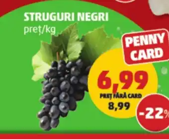 Penny Struguri negri Ofertă