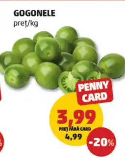 Penny Gogonele Ofertă