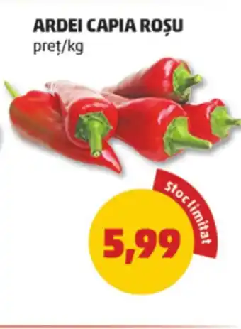 Penny Ardei capia roșu Ofertă