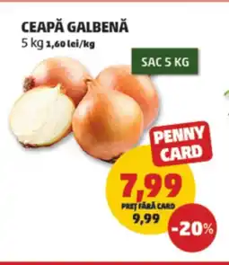 Penny Ceapă galbenă Ofertă