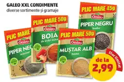 Penny Galeo XXL condimente Ofertă