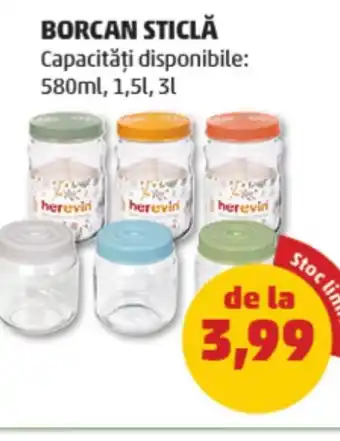 Penny Borcan sticlă Ofertă