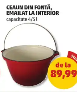 Penny Ceaun din fontă, emailat la interior Ofertă