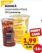 Penny Budincă cacao/vanilie și frișcă Ofertă