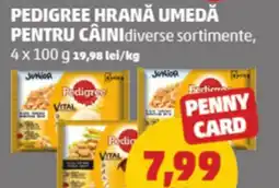 Penny Pedigree hrană umedă pentru câini Ofertă