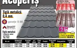 Hornbach Ţiglă metalică Ofertă