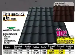 Hornbach Ţiglă metalică Ofertă
