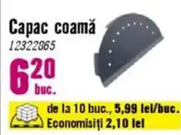 Hornbach Capac coamă Ofertă