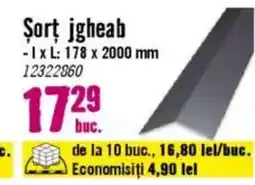 Hornbach Şort jgheab Ofertă