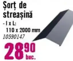Hornbach Şort de streașină Ofertă