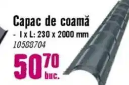 Hornbach Capac de coamă Ofertă