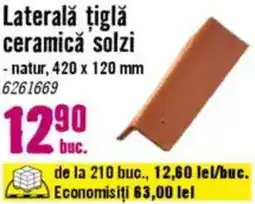 Hornbach Laterală țiglǎ ceramică solzi Ofertă