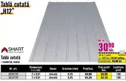Hornbach Tablă cutată „H12" Ofertă