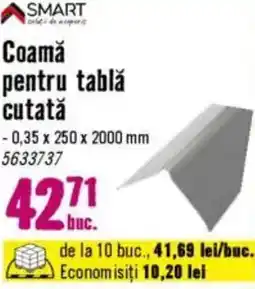 Hornbach Coamǎ pentru tablă cutată Ofertă