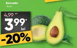 PROFI Avocado Ofertă