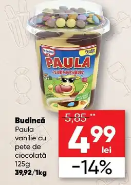 PROFI Budincă Paula vanilie cu pete de ciocolată Ofertă