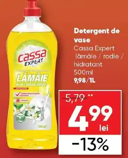 PROFI Detergent de vase Cassa Expert Ofertă