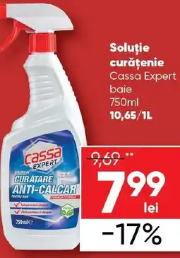PROFI Soluţie curăţenie Cassa Expert baie Ofertă