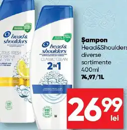 PROFI Şampon Head&Shoulders Ofertă