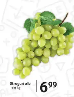 Selgros Struguri albi Ofertă